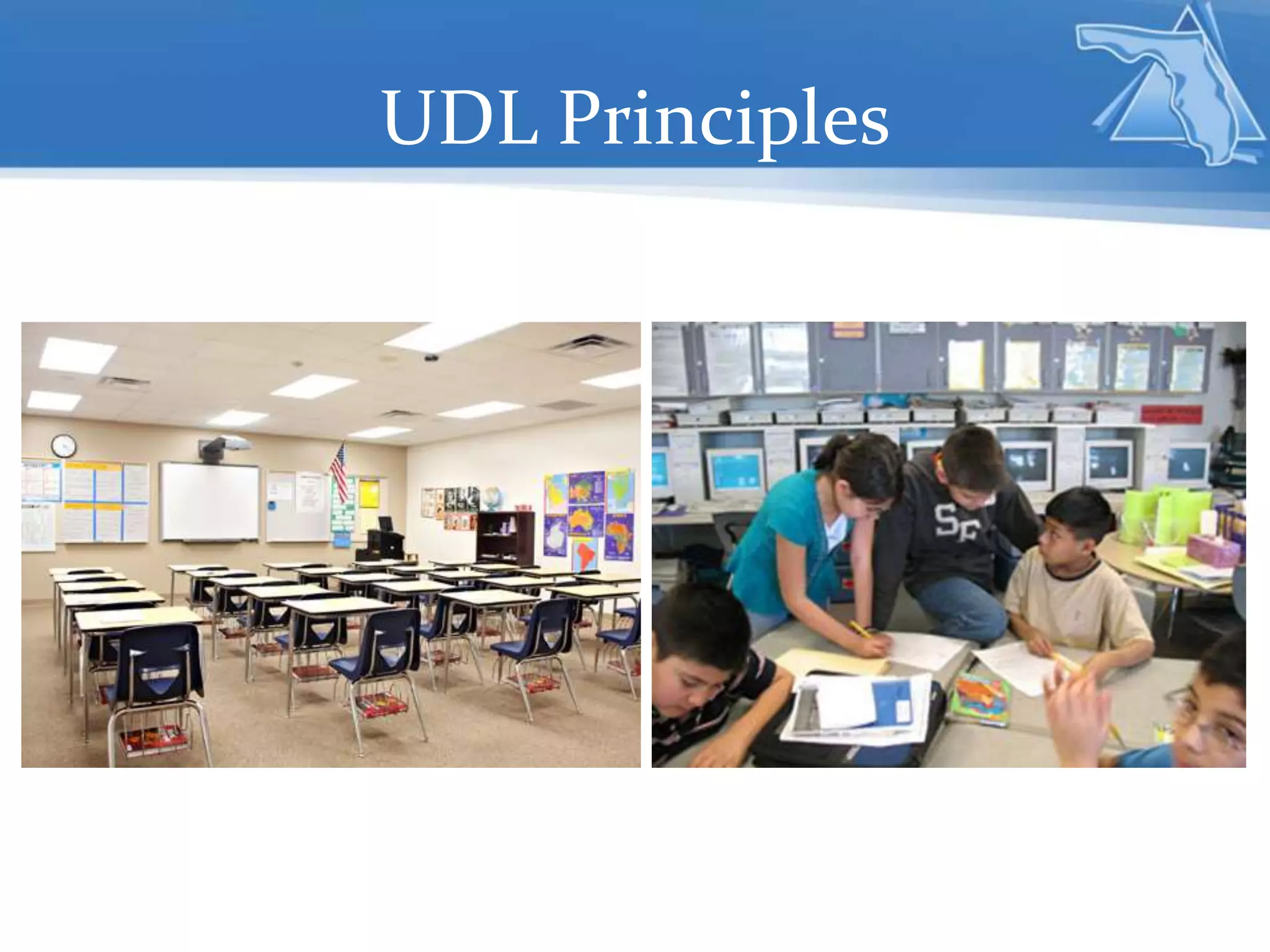 UDL Principles
 