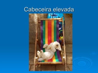 Cabeceira elevada 