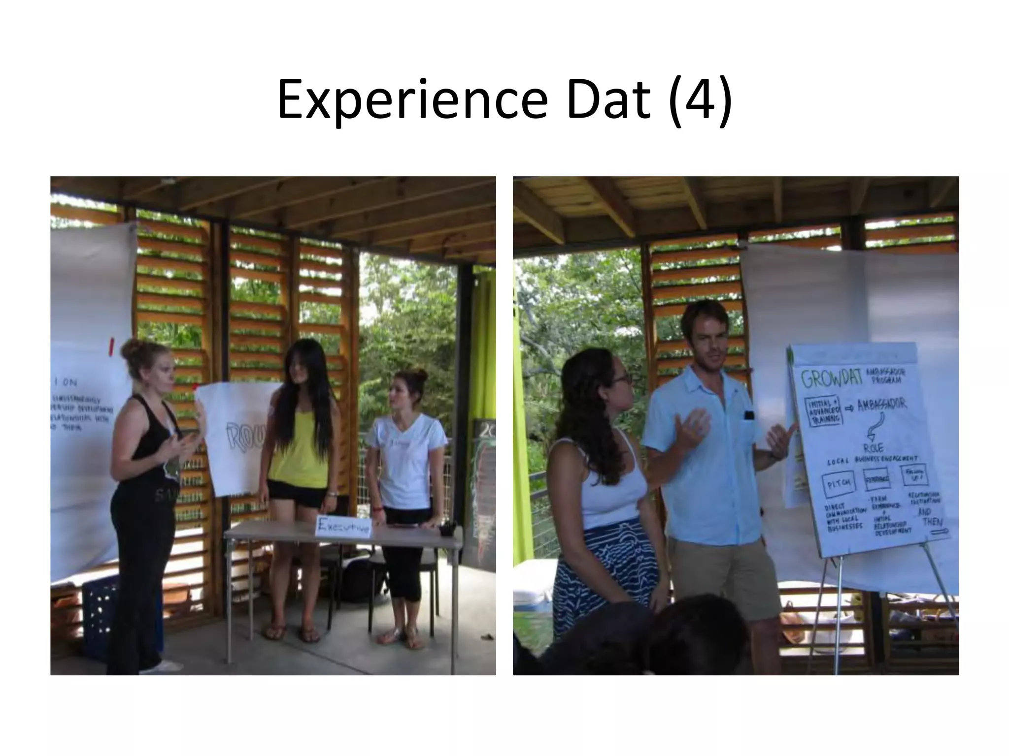 Experience	
  Dat	
  (4)	
  

 