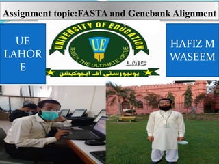Assignment topic:FASTA and Genebank Alignment
HAFIZ M
WASEEM
UE
LAHOR
E
 