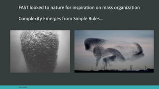 FAST looked to nature for inspiration on mass organization
Complexity Emerges from Simple Rules…
FAST AGILE
 