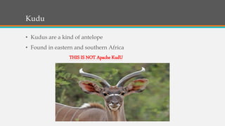 Kudu
• Kudus are a kind of antelope
• Found in eastern and southern Africa
THIS IS NOT Apache KudU
 