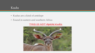 Kudu
• Kudus are a kind of antelope
• Found in eastern and southern Africa
THIS IS NOT Apache KudU
 