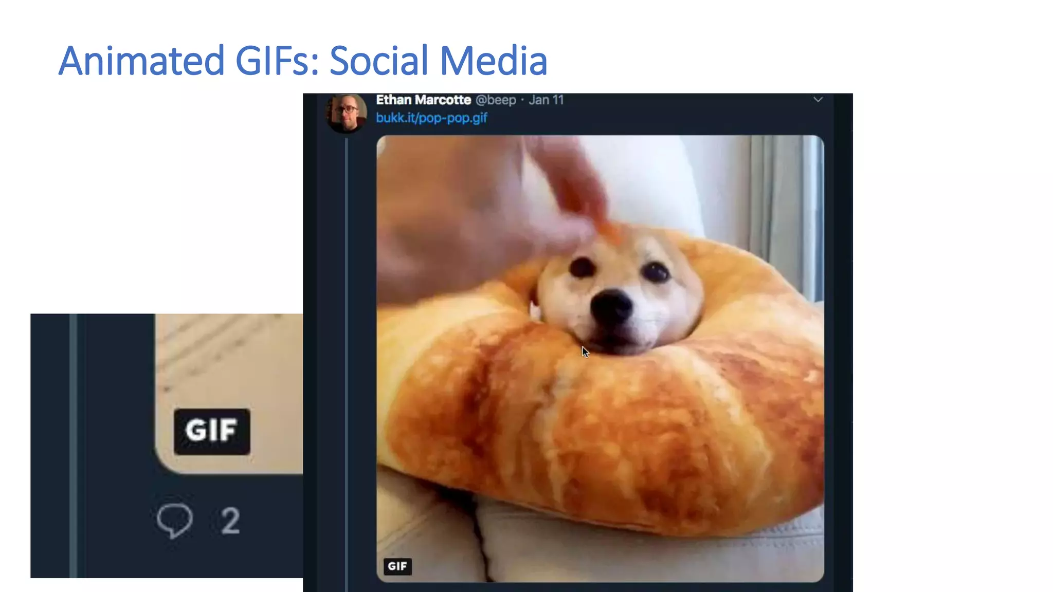 Animated GIFs: Social Media
 