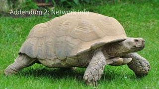 Addendum 2: Network Info
 