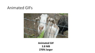 Animated GIFs
Animated GIF
3.8 MB
270% larger
 