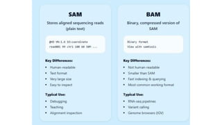 Red Fasta FASTA Read Mapping to a Reference Genome and Visualization in Genome ...