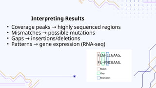 Red Fasta FASTA Read Mapping to a Reference Genome and Visualization in Genome ...
