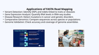 Fasta Variants FASTA Read Mapping to a Reference Genome and Visualization in Genome ...