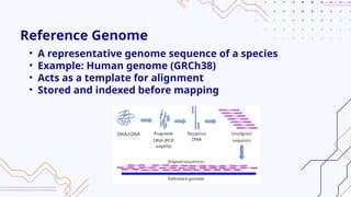 Red Fasta FASTA Read Mapping to a Reference Genome and Visualization in Genome ...