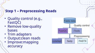 Red Fasta FASTA Read Mapping to a Reference Genome and Visualization in Genome ...