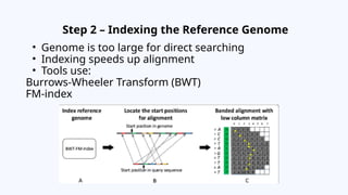 Red Fasta FASTA Read Mapping to a Reference Genome and Visualization in Genome ...