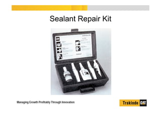 Sealant Repair Kit
 