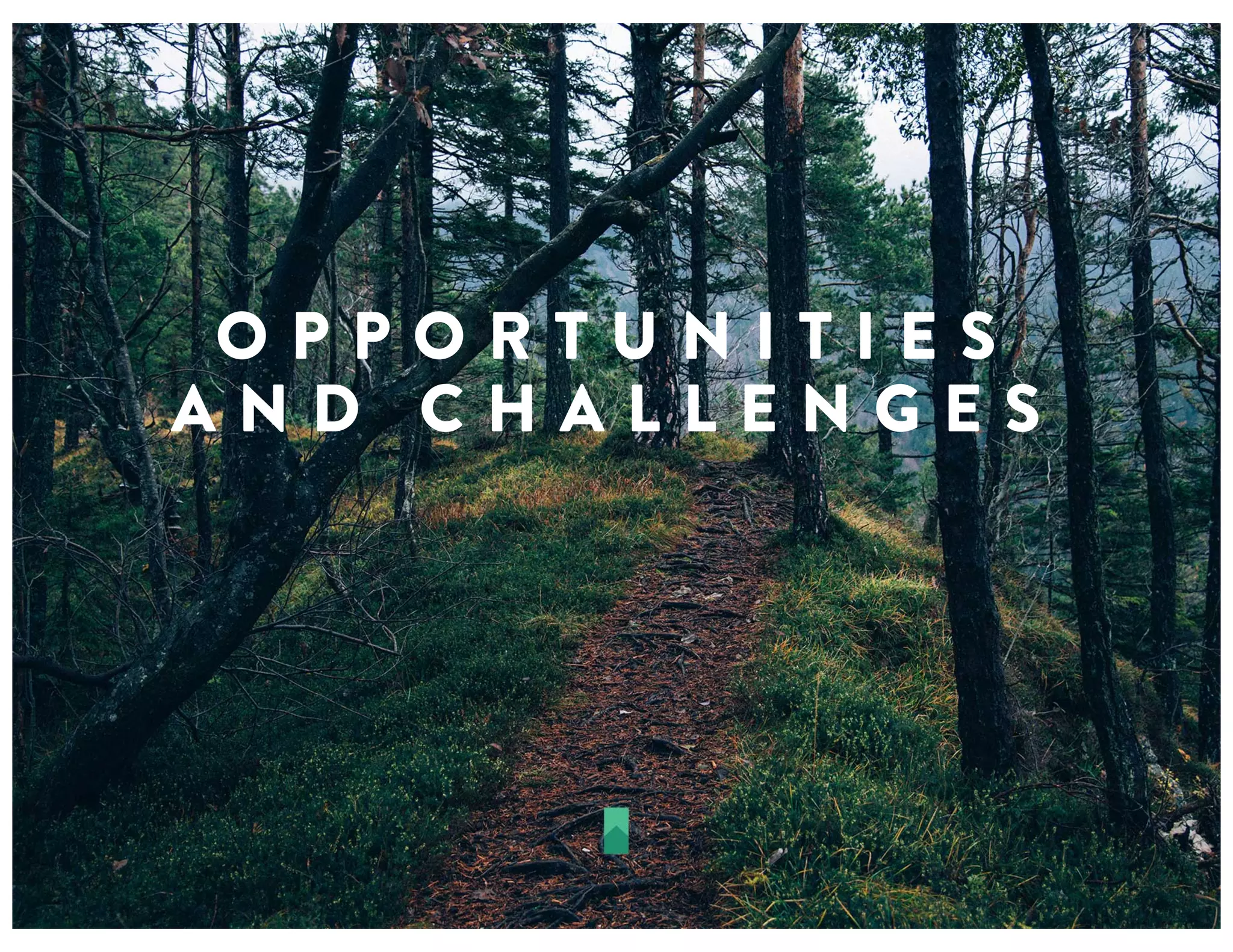 O P P O R T U N I T I E S
A N D C H A L L E N G E S
 