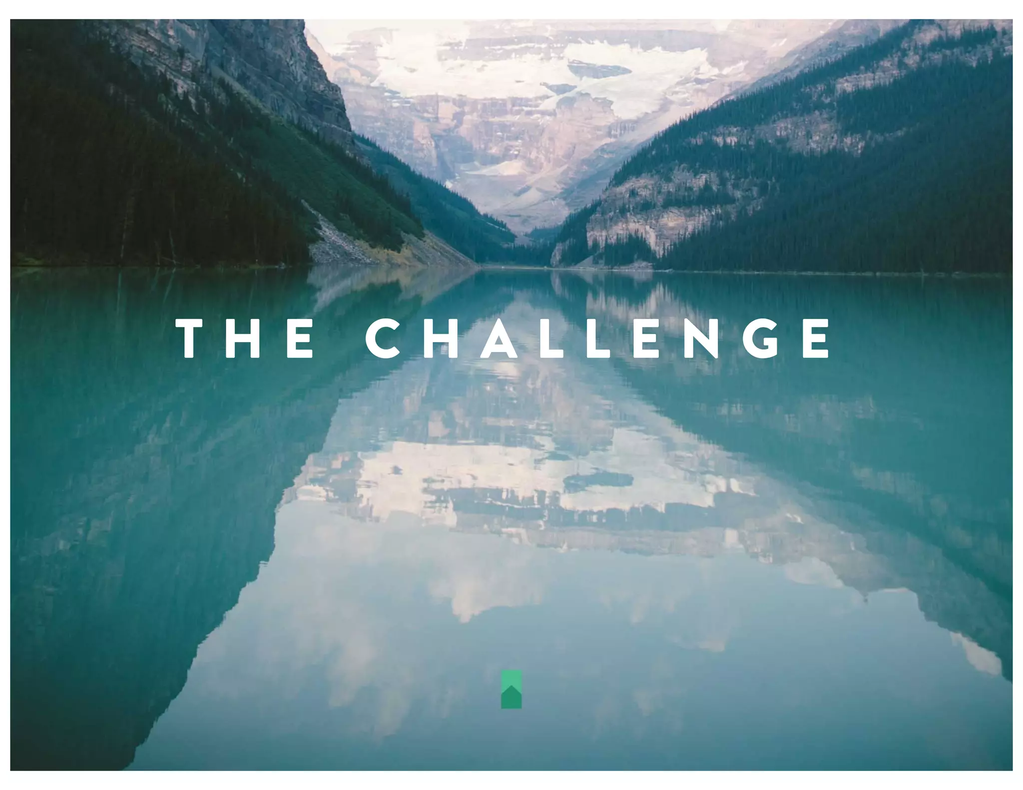 T H E C H A L L E N G E
 
