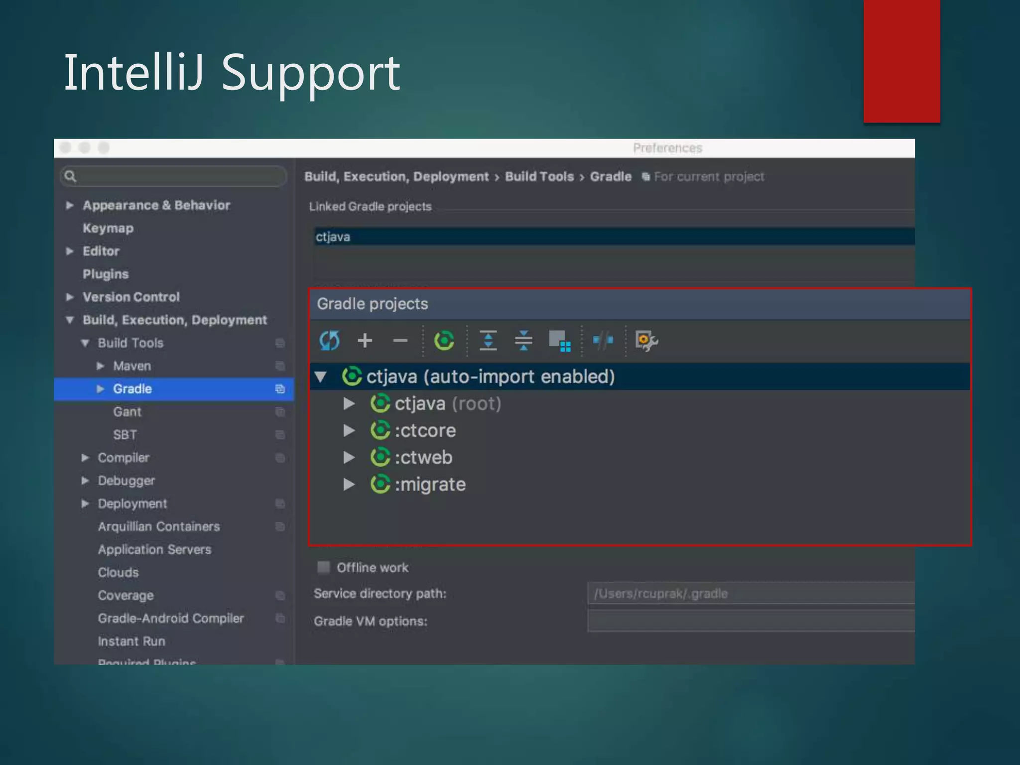 IntelliJ Support
 