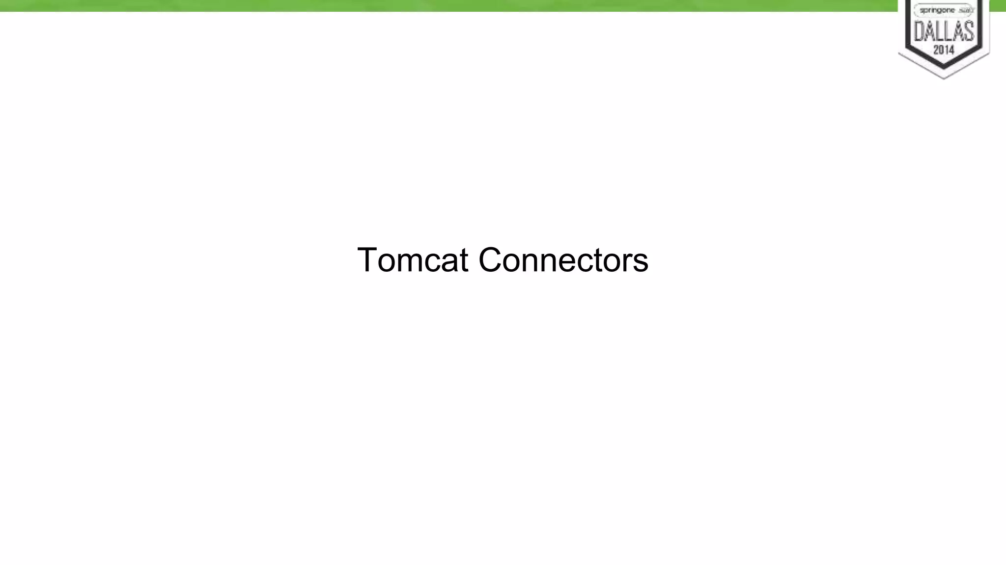 Tomcat Connectors 
 