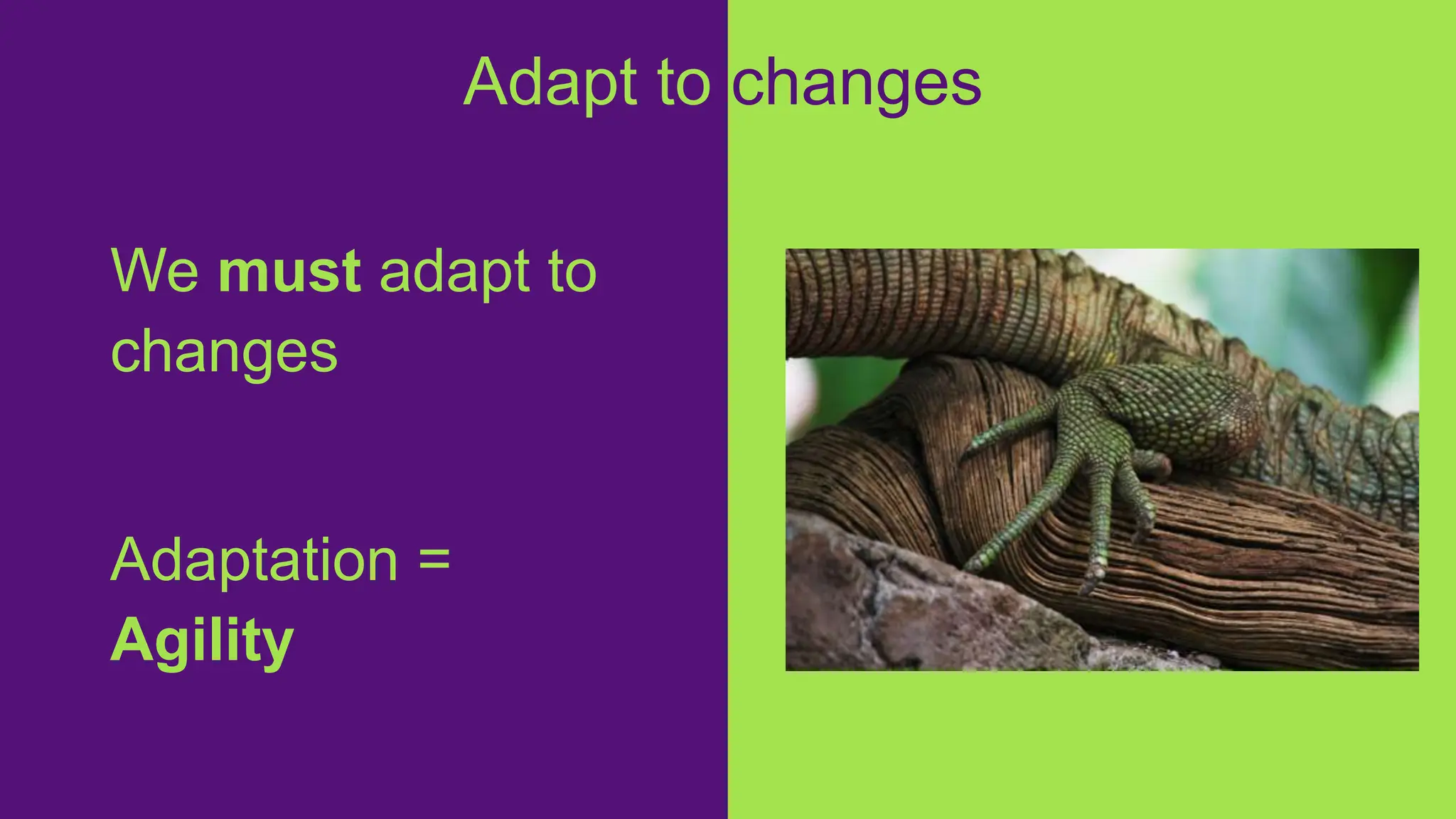 We must adapt to
changes
Adaptation =
Agility
Adapt to changes
 