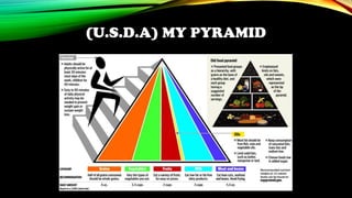 (U.S.D.A) MY PYRAMID
 