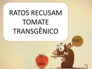 RATOS RECUSAM
TOMATE
TRANSGÊNICO

GMO

 