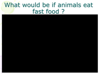 What would be if animals eat
fast food ?
 