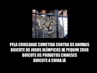 PELA CRUELDADE COMETIDA CONTRA OS ANIMAIS BOICOTE OS JOGOS OLÍMPICOS DE PEQUIM 2008 BOICOTE OS PRODUTOS CHINESES BOICOTE A CHINA JÁ 