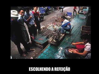 ESCOLHENDO A REFEIÇÃO 