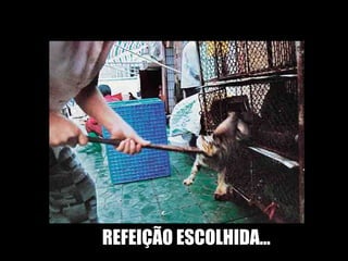 REFEIÇÃO ESCOLHIDA... 