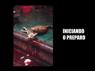 INICIANDO  O PREPARO 