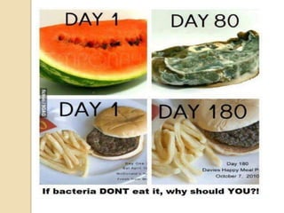 Fast food nation