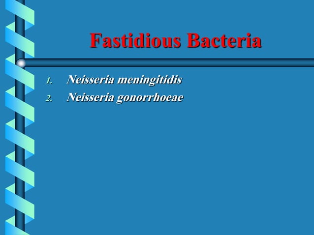 Fastidious Bacteria.pdf