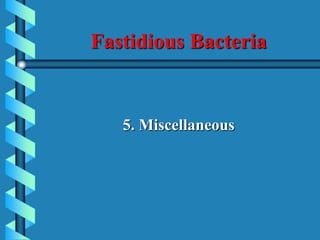 Fastidious Bacteria.pdf