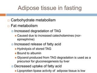 Adipose tissue in fasting
   Carbohydrate metabolism
   Fat metabolism
     Increased   degradation of TAG
       Causeddue to increased catecholamines (nor-
       epinephrine)
     Increased   release of fatty acid
       Hydrolysis of stored TAG
       Bound to albumin
       Glycerol produced from TAG degradation is used as a
        precursor for gluconeogenesis by liver
     Decreased      uptake of fatty acid
       Lipoprotien   lipase activity of adipose tissue is low
 