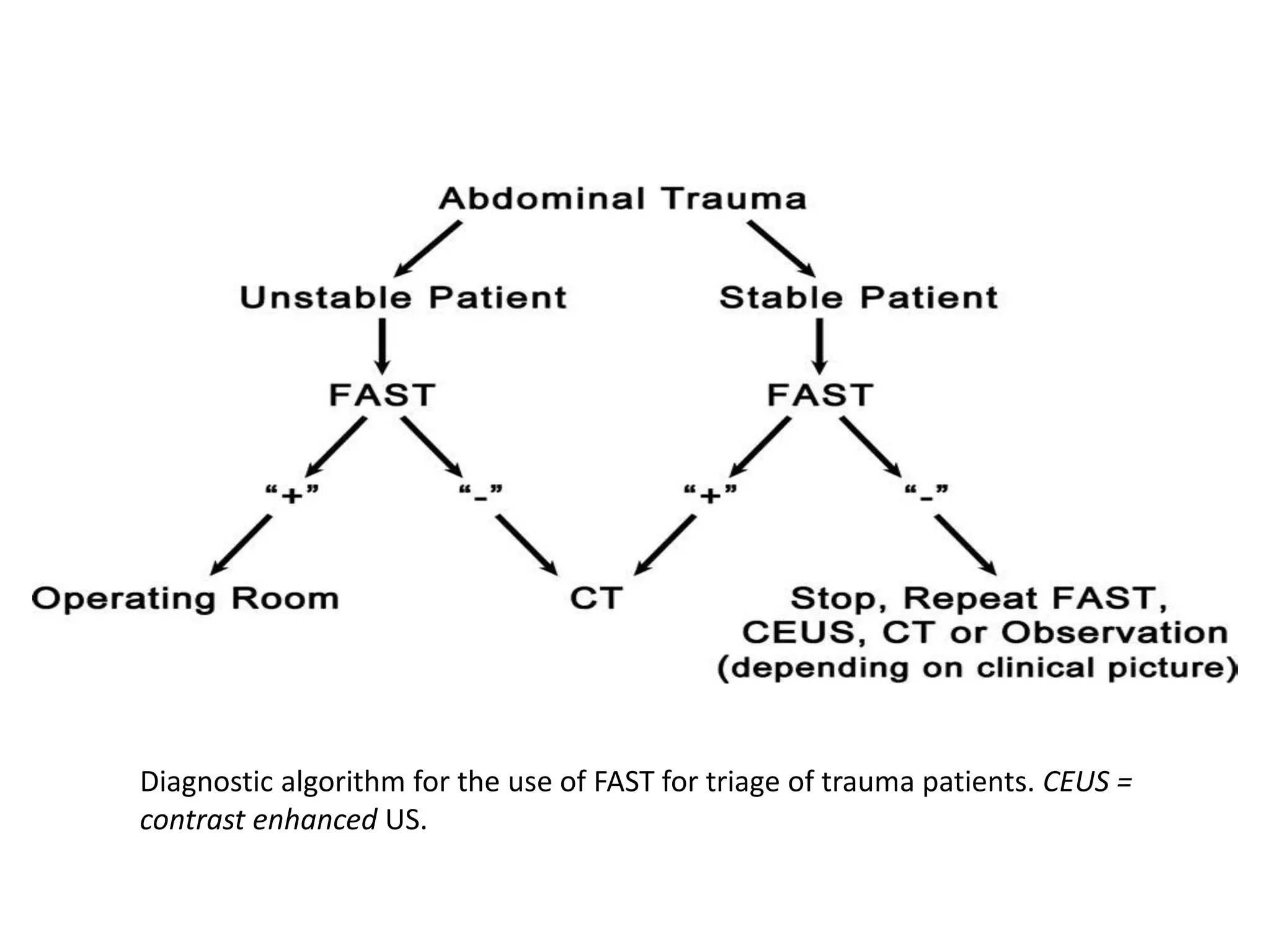 Diagnostic algorithm for the use of FAST for triage of trauma patients. CEUS =
contrast enhanced US.
 
