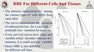 Fast neutron beam therapy | PDF