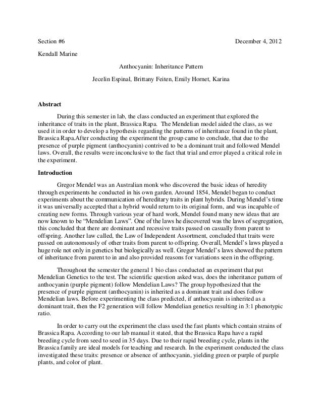 Essay drosophila current research