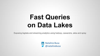 Fast Queries
on Data Lakes
Exposing bigdata and streaming analytics using hadoop, cassandra, akka and spray
Natalino Busa
@natalinobusa
 