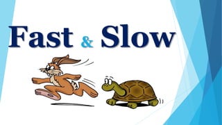 Fast & Slow
 