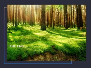 THE END
 