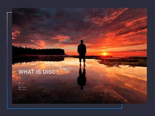 WHAT IS DISC?
Doran
Indy
Sandra
Cr ystal
 