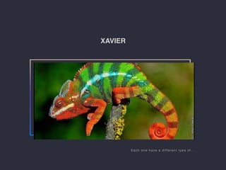 XAVIER
Each one have a different type of.
 
