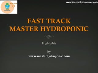 www.masterhydroponic.com
www.masterhydroponic.com

 