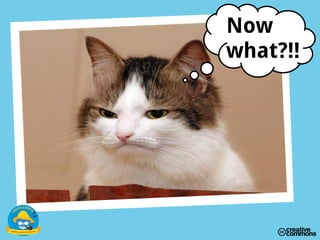 Now
what?!!
 