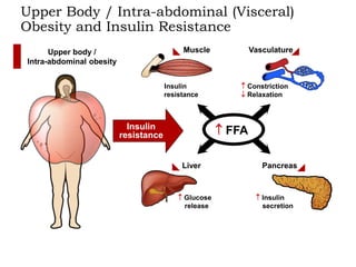 Fat Intersystem Fat | PPTX