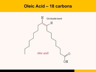 Oleic Acid – 18 carbons
Cis double bond
 
