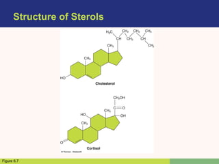 Structure of Sterols
Figure 6.7
 
