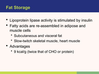 Fat Storage
 Lipoprotein lipase activity is stimulated by insulin
 Fatty acids are re-assembled in adipose and
muscle cells
• Subcutaneous and visceral fat
• Slow-twitch skeletal muscle, heart muscle
 Advantages
• 9 kcal/g (twice that of CHO or protein)
 