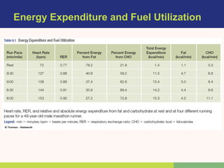 Energy Expenditure and Fuel Utilization
 