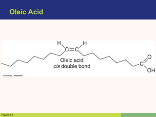 Oleic Acid
Figure 6.1
 