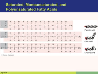 Saturated, Monounsaturated, and
Polyunsaturated Fatty Acids
Figure 6.2
 